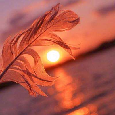 开云app手机版下载截图