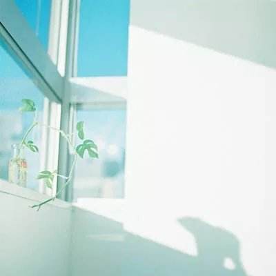 NG体育下载手机版